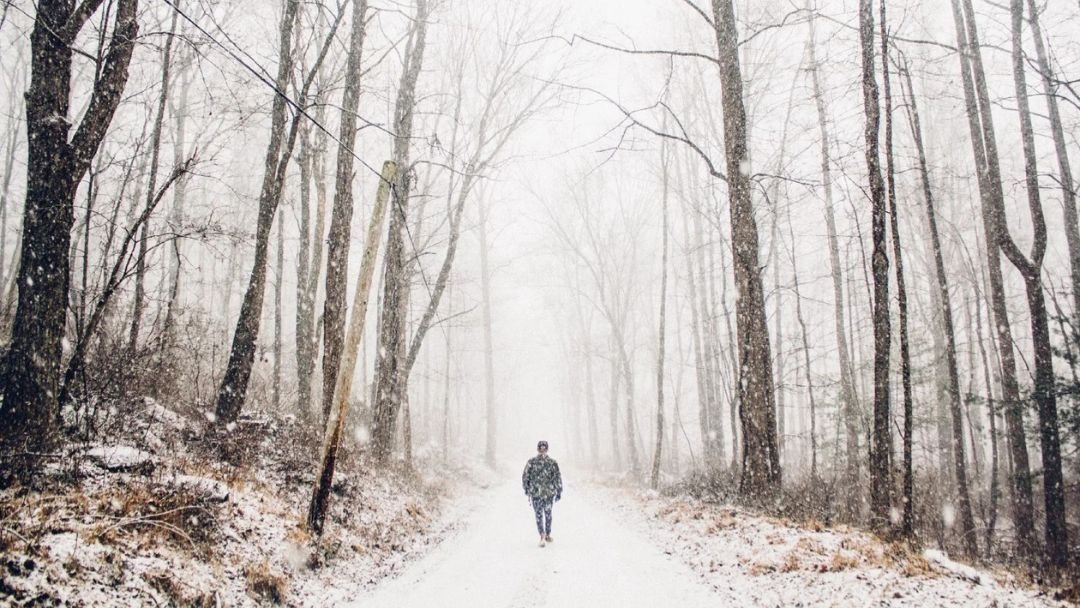 Poem: Along a November Treeline